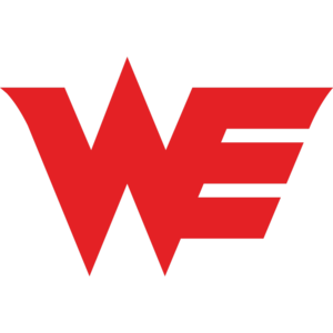 Logo Team WE