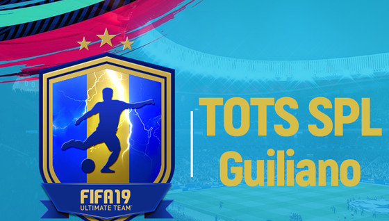 Solution DCE TOTS Giuliano SPL