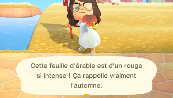 Où se trouvent les feuilles d'érable dans Animal Crossing ?