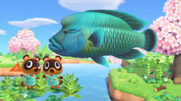 Liste complète des poissons dans Animal Crossing New Horizon