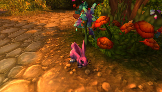 Où trouver les oeufs du jardin des nobles dans WoW ?