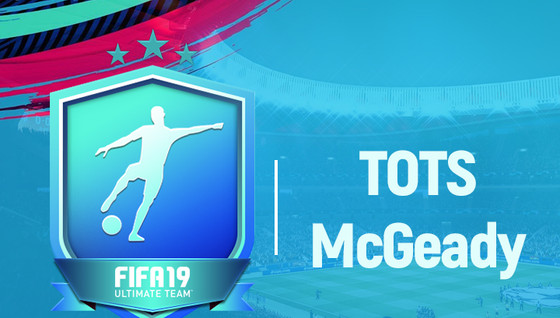 Solution DCE TOTS Aiden McGeady