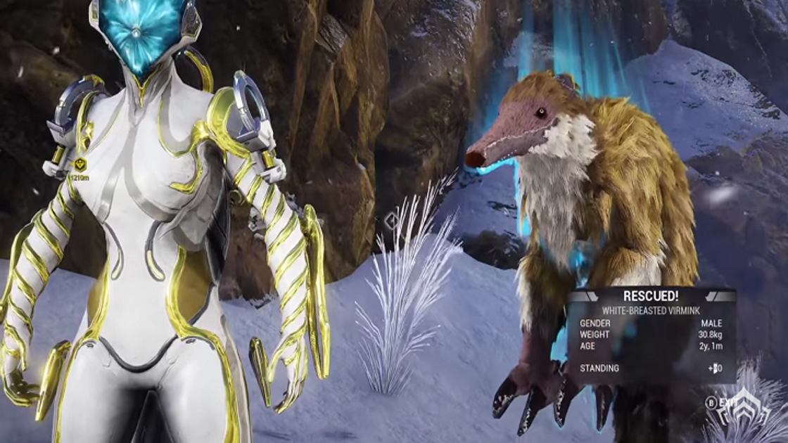 Warframe : La Conservation animale à Fortuna, toutes les infos