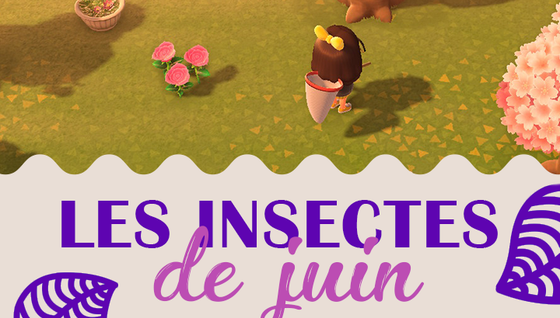 Les insectes à capturer en juin