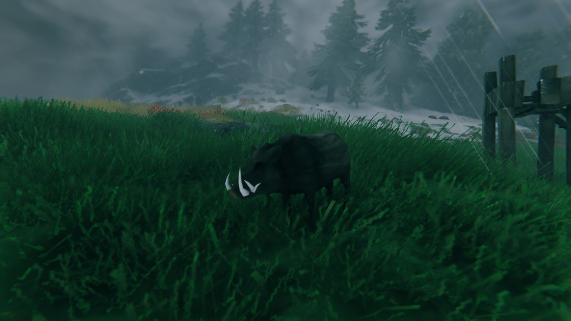 Valheim Tame boar, comment dompter un sanglier ?