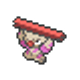 Les Pokémon de Couronneige