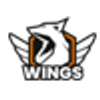 s1-wings