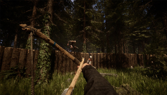 Quel est le prix du jeu Sons of the Forest ?