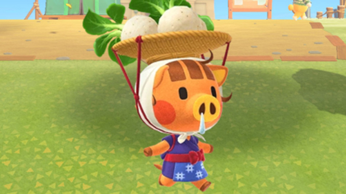 Porcelette Animal Crossing heure, quand est-elle sur l'île pour les navets ?