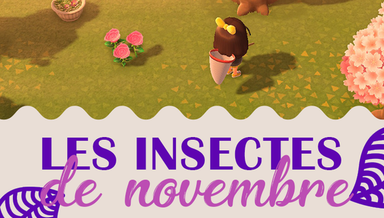 Les insectes à capturer en novembre