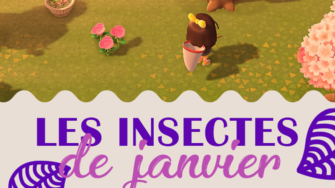 Insectes du mois de janvier dans Animal Crossing New Horizons, hémisphère nord et sud