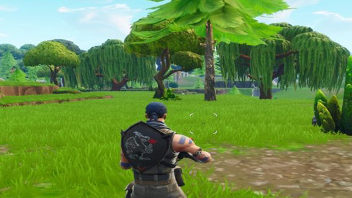 Fortnite World Cup : Résolution d'écran forcée en 16:9 pour le mode Arène et les compétitions