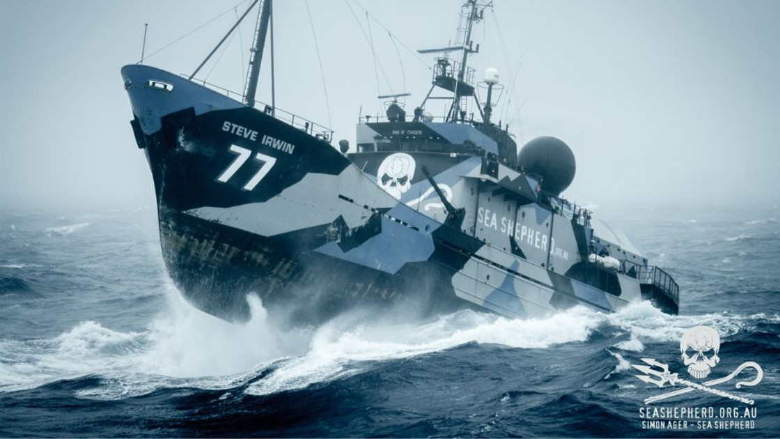 Sea Shepherd France ZEvent 2022, présentation de l'association