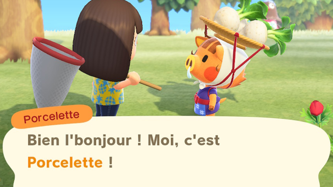 Cours du navet dans Animal Crossing : New Horizons, toutes les infos