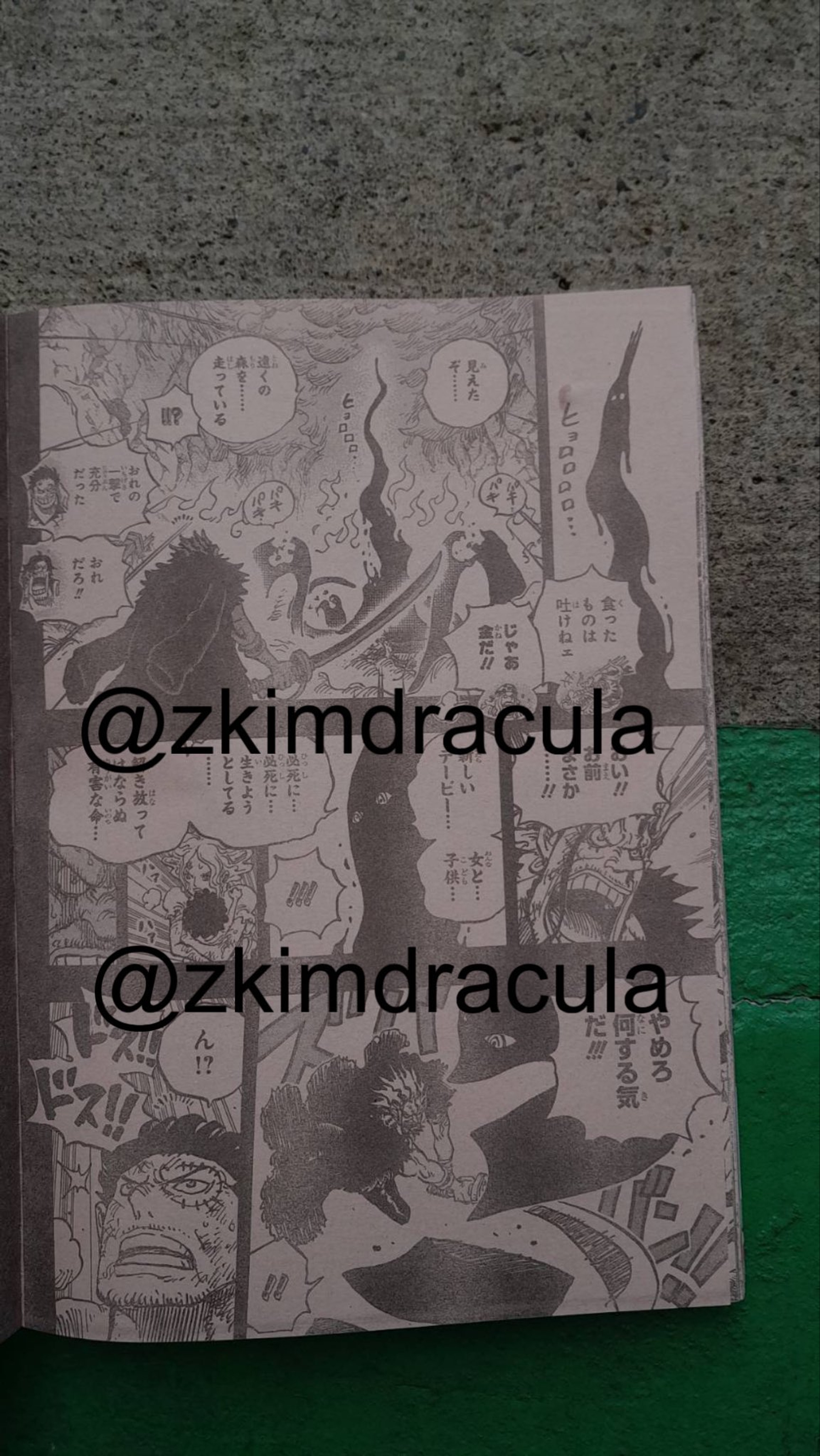 one-piece-1163-2