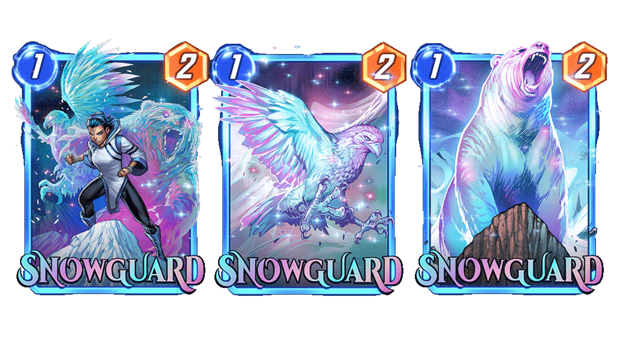 snowguard