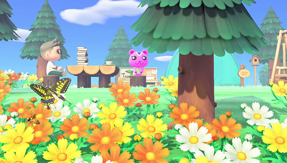 Nos guides Animal Crossing : New Horizons