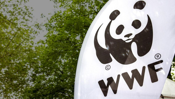 WWF France, présentation de l'assocation du Z EVENT 2022