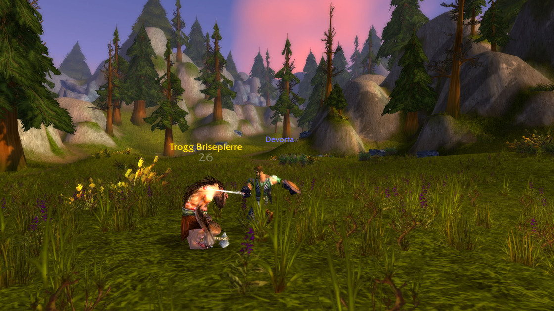 WoW Hardcore : Meilleures Macros Guerrier sur World of Warcraft Classic