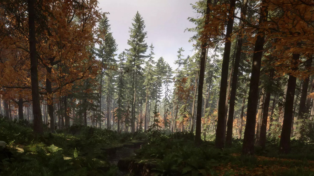 Carte Sons of the Forest, où trouver la map interactive ?