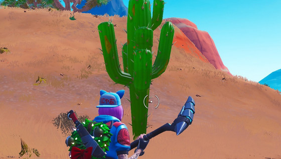 Défi : Détruire des cactus dans le désert