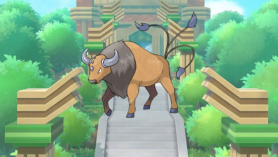 Pokédex : Fiche Tauros