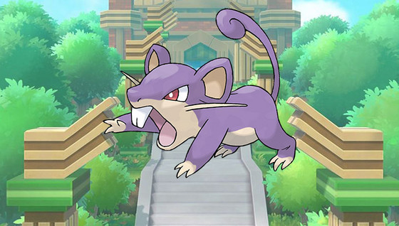 Pokédex : Fiche Rattata