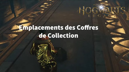 Où trouver les coffres de collection dans Hogwarts Legacy ?