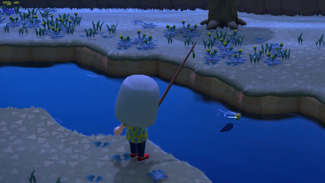 Tous les poissons d'Animal Crossing : New Horizons, liste complète et infos