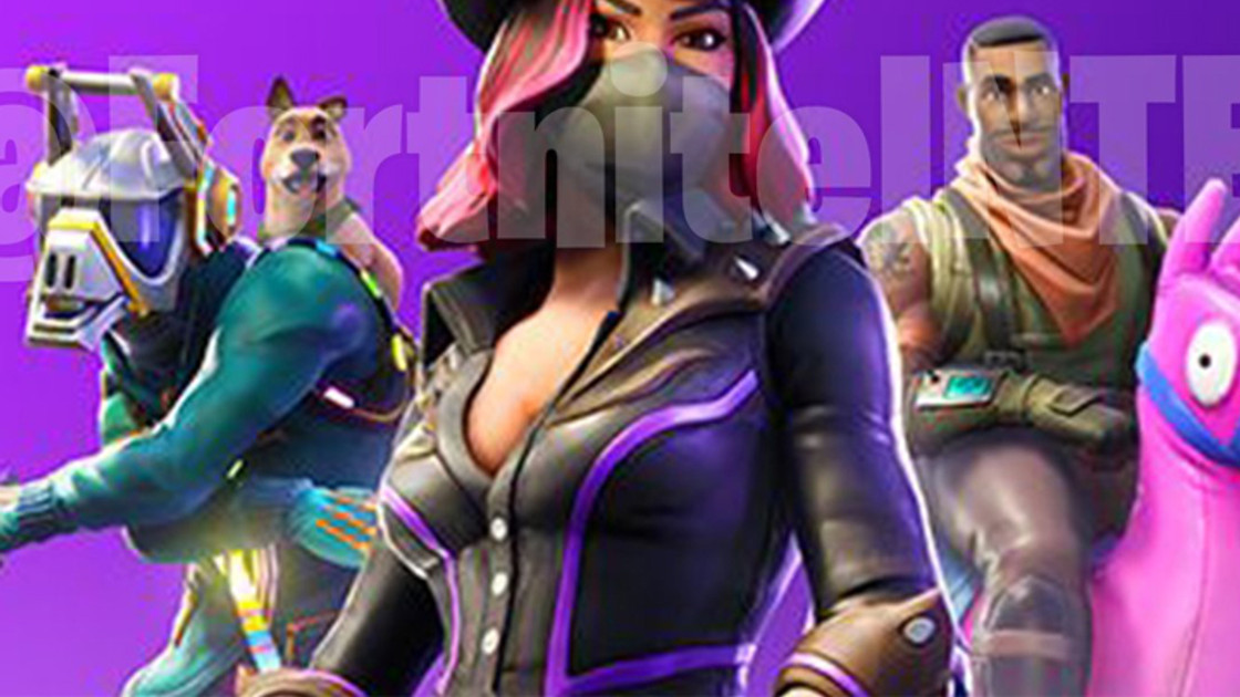 Fortnite : Saison 6, leak de skins et confirmation des animaux de compagnie