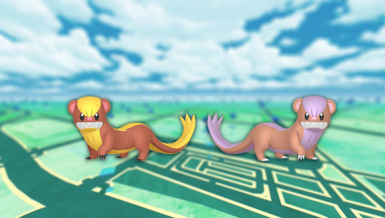 Manglouton (shiny) dans les Heures de Pokémon Vedette de juillet 2023 sur Pokémon GO