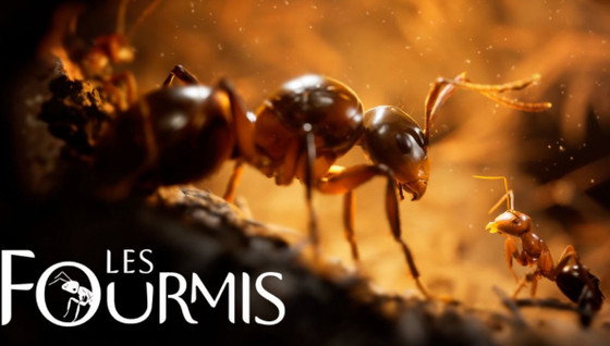 Les fourmis PS5 date de sortie, quand sort le prochain jeu de Microids sur PC et consoles ?