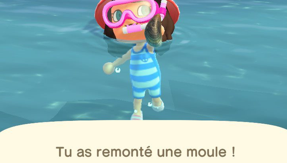 Toutes les créatures marines d'Animal Crossing : New Horizons