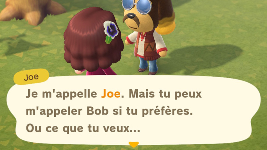 Animal Crossing New Horizons : Joe et photopia, comment aller sur son île ?