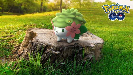 Plante et gratitude Pokémon GO : notre guide de l'étude spéciale pour attraper Shaymin