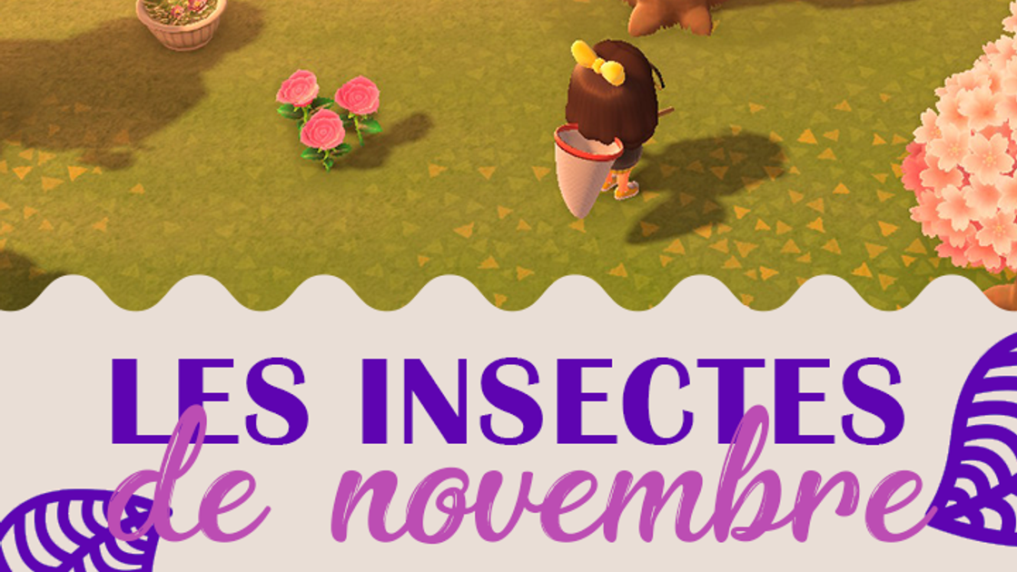 Insectes du mois de novembre dans Animal Crossing New Horizons, hémisphère nord et sud