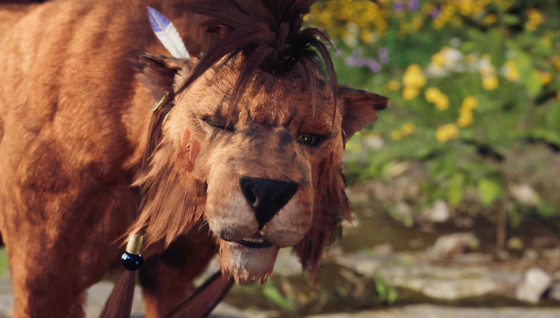 Affinité Red XIII FF7 Rebirth : quels choix de dialogue et comment avoir la romance ?