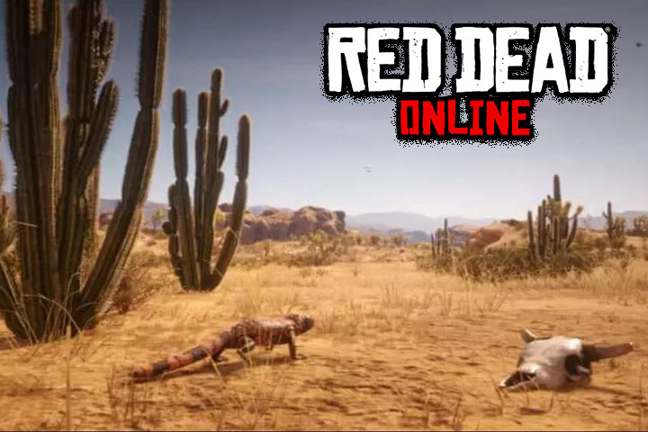 Le Mexique dans Red Dead Redemption 2 ?