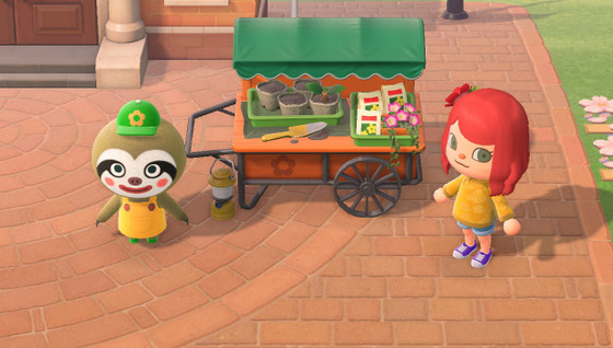 Comment avoir Racine dans Animal Crossing New Horizons ?