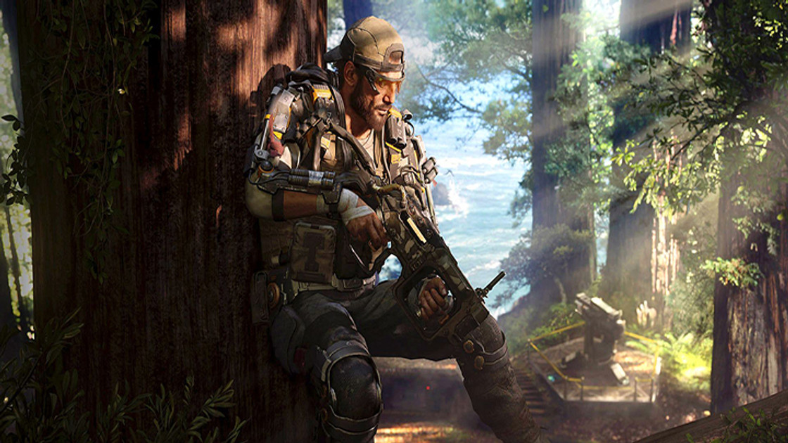 Call of Duty Black Ops 4 : Présence des atouts confirmée