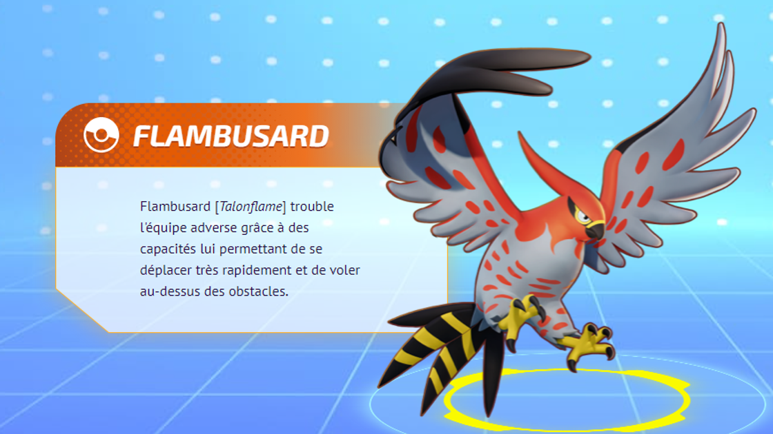 Flambusard (Talonflame) Pokemon Unite, meilleurs build, moves et objets