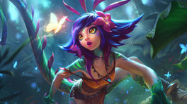 Guide Neeko Bot