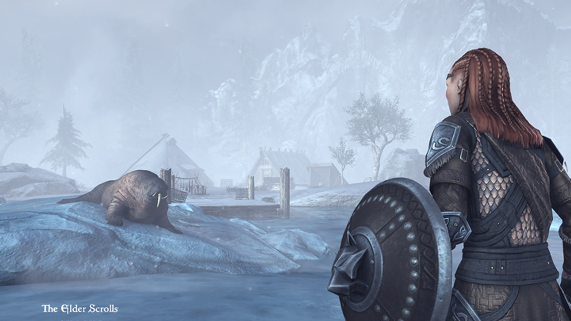 TESO : Skyrim, présentation de la zone de Greymoor