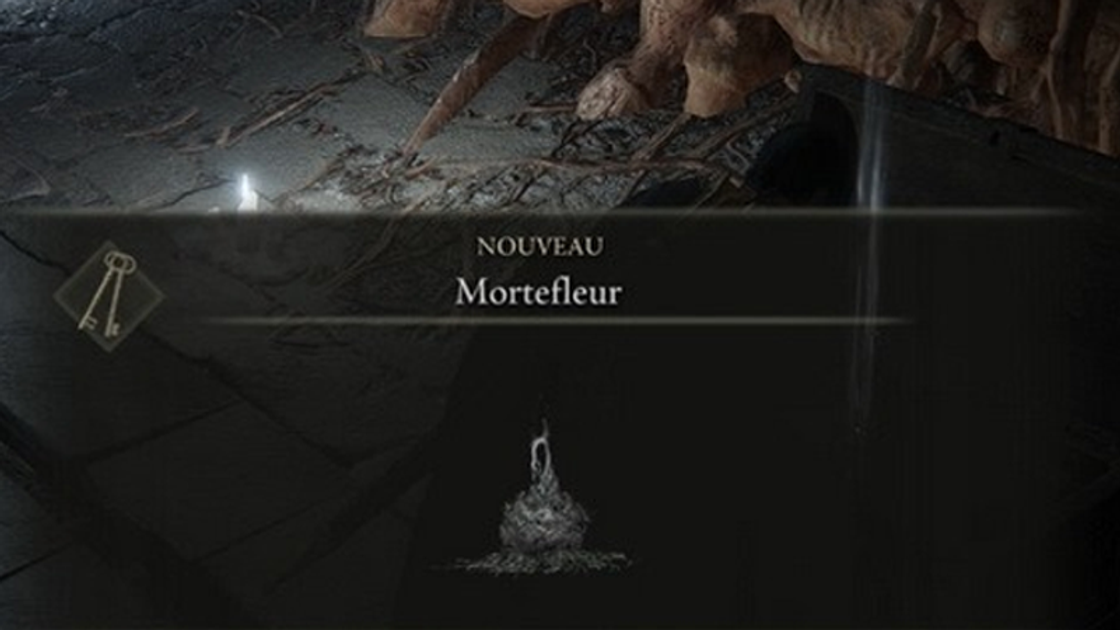 Mortefleur Elden Ring, où en trouver ?