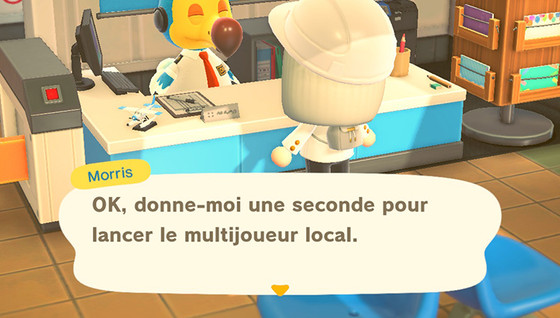 Comment jouer à deux sur Animal Crossing : New Horizons ?