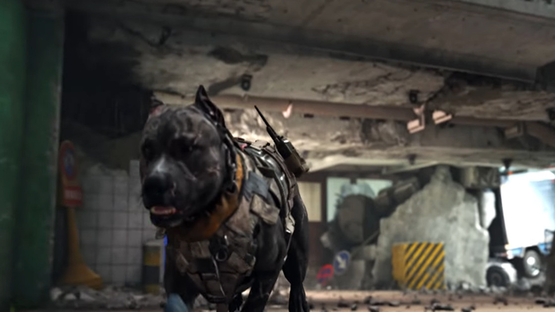 Call of Duty Black Ops 4 : Les chiens bug et op dans la Beta