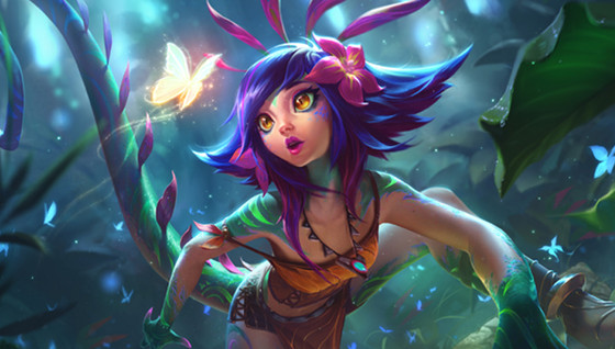 Guide Neeko Bot