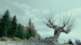 Pourquoi le saule cogneur n'est pas dans Hogwarts Legacy ?