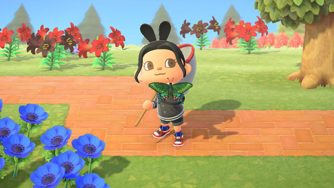 Animal Crossing Prix des insectes, liste par hémisphère sur New Horizons ?