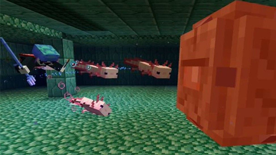 L'Axolotl dans Minecraft, les infos sur le mob de la 1.17